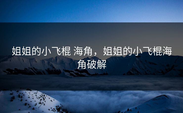姐姐的小飞棍 海角，姐姐的小飞棍海角破解