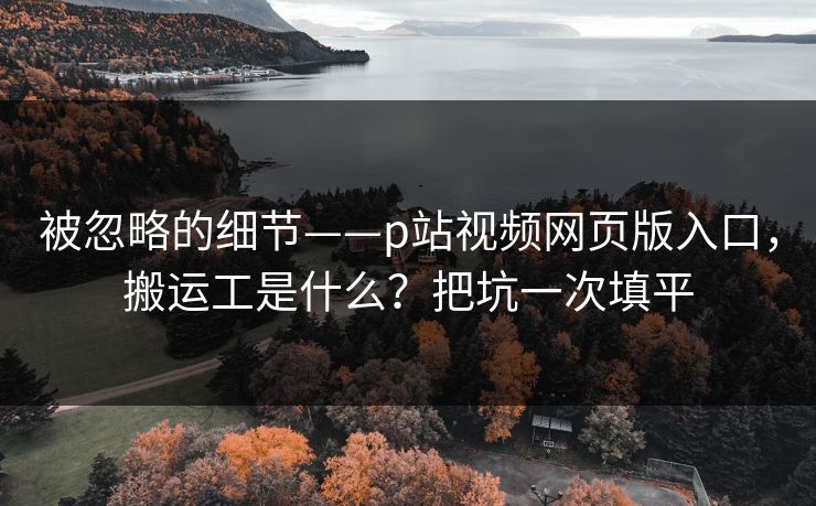 被忽略的细节——p站视频网页版入口，搬运工是什么？把坑一次填平