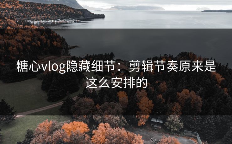 糖心vlog隐藏细节：剪辑节奏原来是这么安排的